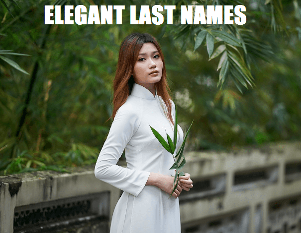 Fancy Last Names