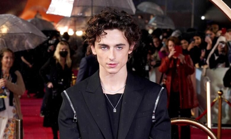 Timothée Chalamet