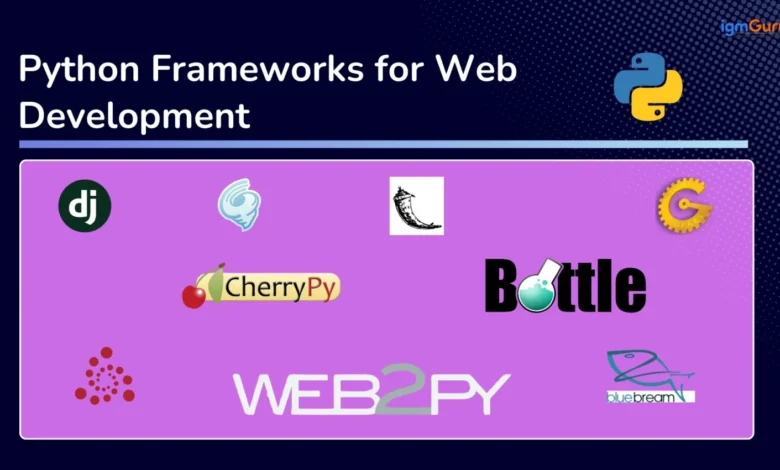 Python Web Framework